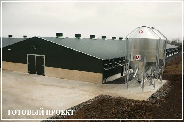Этапы возведения птицефабрики от завода ВелесТент-слн
